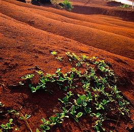 《最终幻想7：重制版》第二章或为开放世界 有新玩法