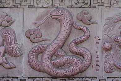 都是什么奇葩！玩家质疑《宣誓》NPC人物设计