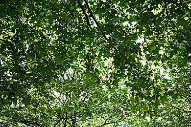 大神自制虚幻5版《蝙蝠侠》演示 次世代效果