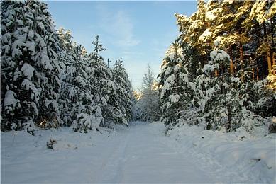 《一鹅当先》PC版公开B测启动 PS5版问题调试中